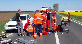 Galerie foto - poza 3