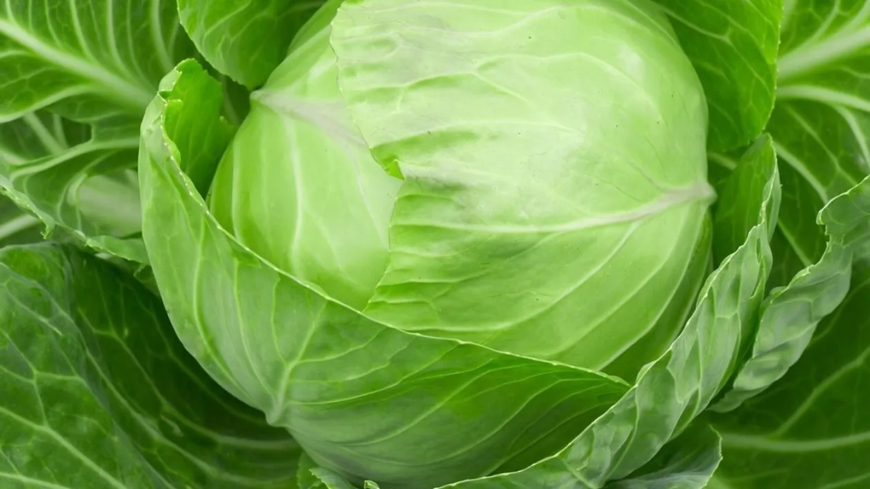 Dieta cu varză. Cum poţi topi 10 kilograme în 10 zile şi care sunt riscurile