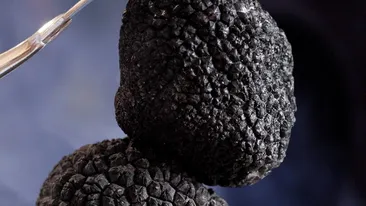 Top 5 cele mai scumpe alimente din lume. Sunt delicatese de lux pentru buzunarul românilor