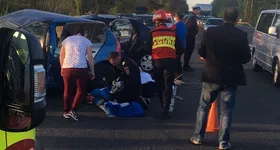 Galerie foto - poza 4