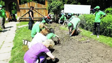 ALPAB, fabrica de plante a orasului