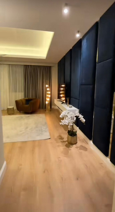 Cum arată casa lui Sebastian Dobrincu. Sursă foto: Captură TikTok