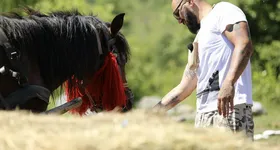 Galerie foto - poza 4