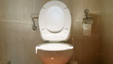O toaletă din Londra a fost oferită spre închiriere pentru o sumă exorbitantă! De ce ar plăti cineva atât de mult? 