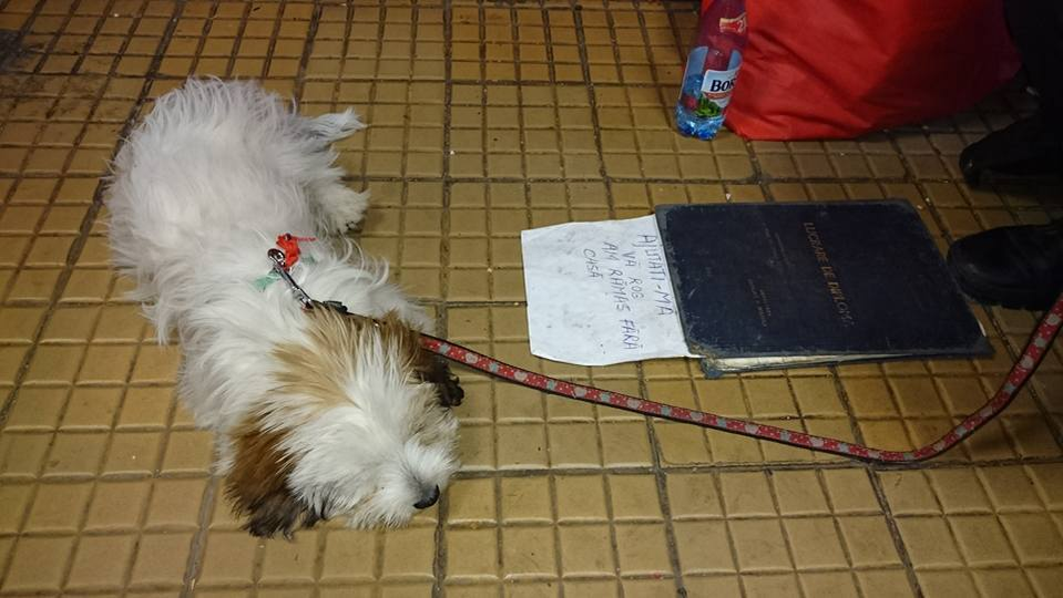 A fost abandonată de rude după ce a fost escrocată imobiliar! Povestea incredibilă a unei femei cu studii superioare care a pierdut tot şi acum cerşeşte la metrou
