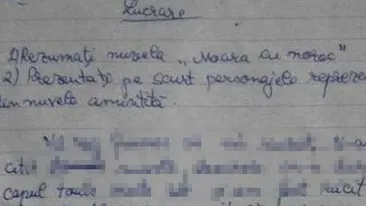 Ce a putut sa scrie un elev din Romania pe lucrarea de control! Toata clasa a ras de el iar profesoara i-a dat nota 4