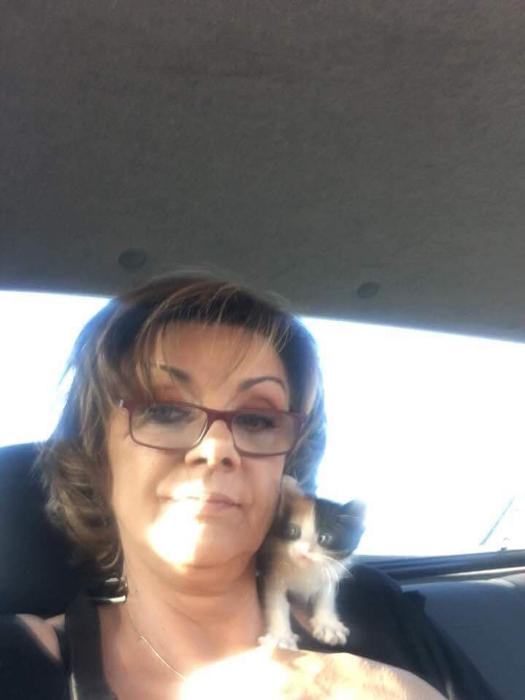 Carmen Tănase compară onestitatea oamenilor cu cea a animalelor (Foto: Facebook)