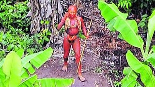 Traficantii de droguri au determinat disparitia unui trib din Amazon, descoperit recent in Brazilia