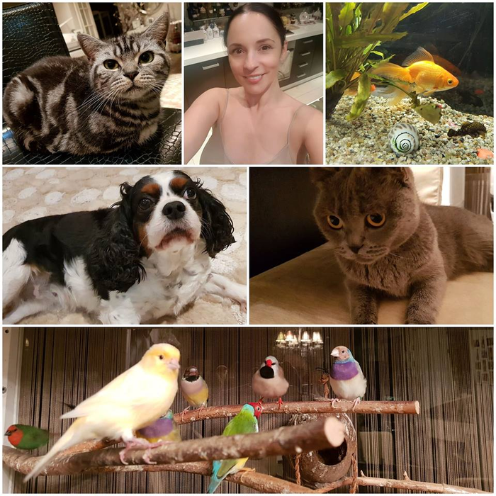 Ce vârstă are pisica ta în ani omenești. Calculul e foarte simplu! Vezi ce vedete preferă micuțele feline și cine a ales să își ia câine