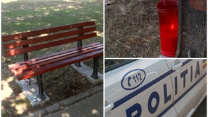 Detalii cutremurătoare ies la iveală în cazul crimei din Mangalia. Adevăratul motiv pentru care tânăra ar fi fost ucisă de cea mai bună prietenă