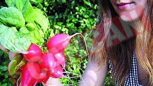 Legume de sezon care va protejeaza impotriva afectiunilor
