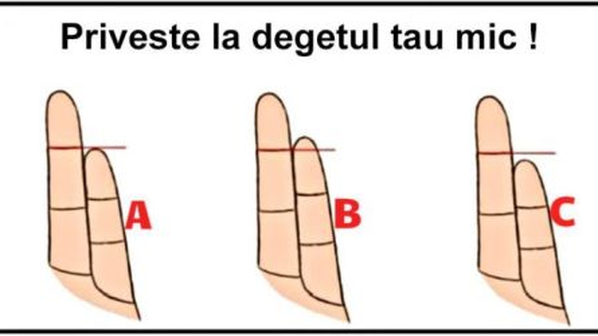 Forma si lungimea degetelor iti spun la ce boli esti predispus. Afla ce fel de persoana esti uitandu-te la mainile tale