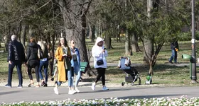 Galerie foto - poza 2