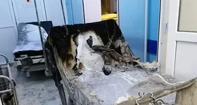 Galerie foto - poza 1