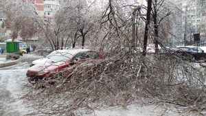 Șase copaci căzuți din cauza furtunii în Capitală, trei mașini avariate. Doi pietoni au fost răniți