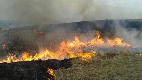 Incendiu puternic la marginea Reșiței, 150 de case în pericol. Culmea, localnicii fac selfie-uri | VIDEO