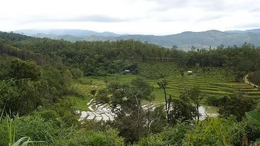 INCREDIBIL! Doi barbati disparuti in timpul razboiului din Vietnam, gasiti in viata, dupa 40 de ani, in jungla