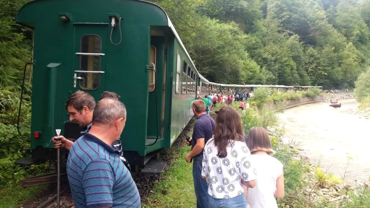 Accident terifiant pe Valea Vaserului. Mocănița a deraiat cu peste 300 de turiști în vagoane, sunt 11 răniți