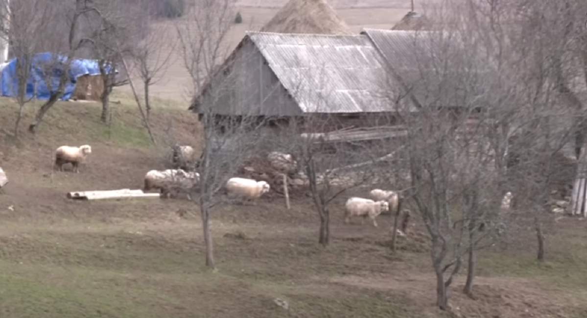 Doar 7 oameni mai stau în această localitate din România/ Sursa foto: Captură video