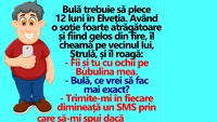 BANC | Bulă trebuie să plece 12 luni în Elveția și îl roagă pe Ștrulă să stea de șase la ce face Bubulina
