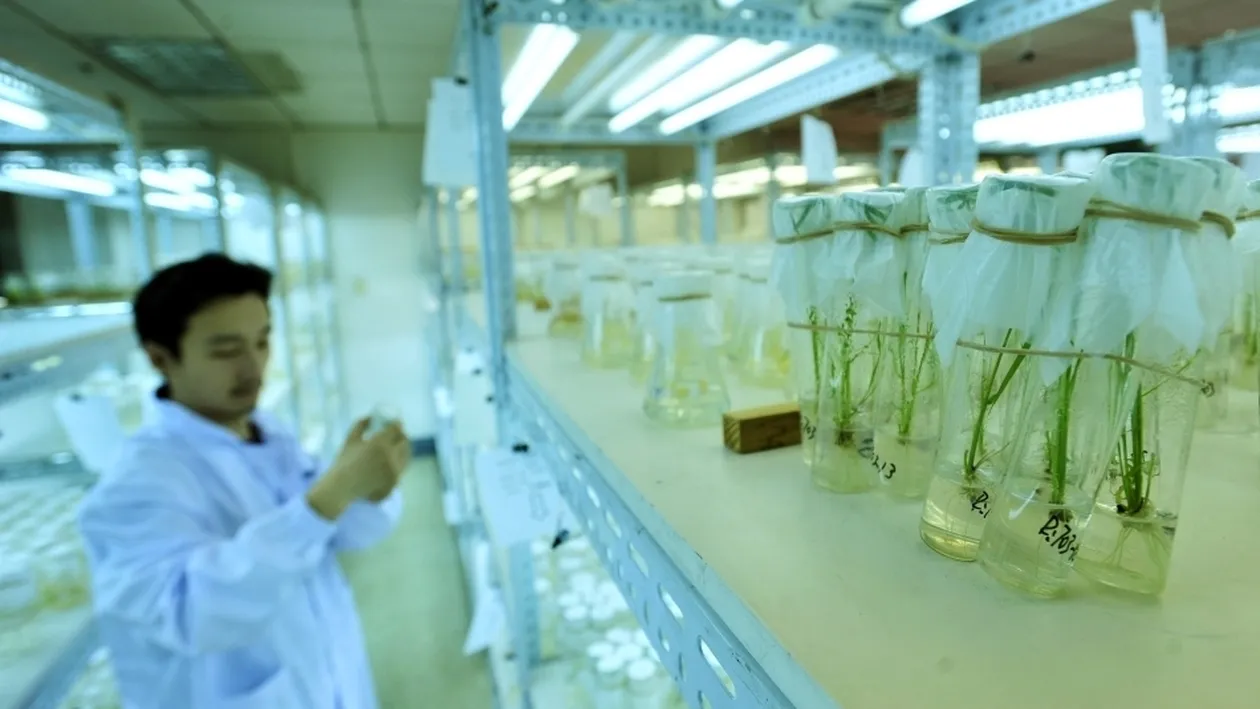 Anunţul făcut de ministrul Cercetării: ”Ăsta e plafonul de salarizare acum...”