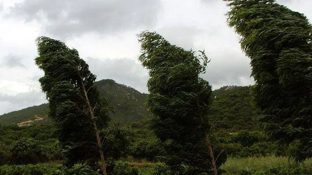 Avertizare de vant puternic in Bucuresti si 12 judete din sudul si sud-estul tarii