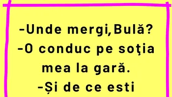 BANC | Bulă își conduce nevasta la gară