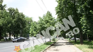 Bucurestenii vor face miscare in aer liber timp de noua weekenduri. Pe Kiseleff se opreste traficul pentru sport!