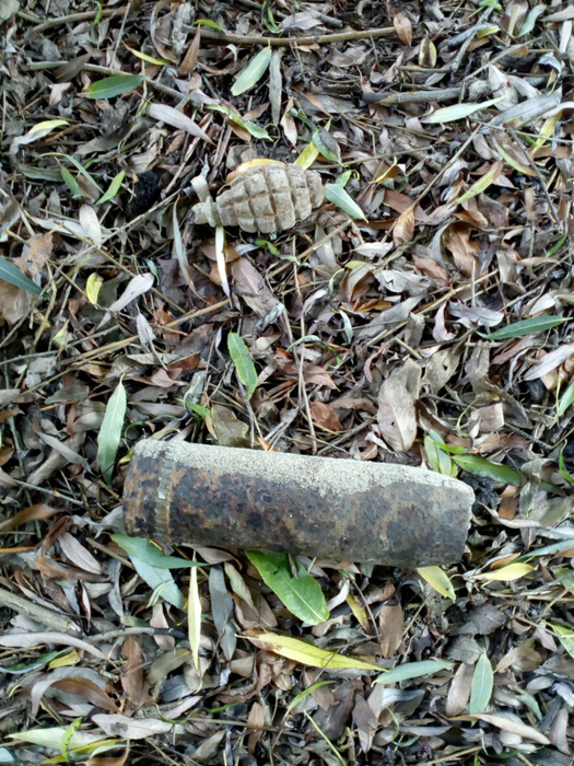 Un ”căutător de comori” din Vrancea a găsit două grenade defensive și 80 de cartușe