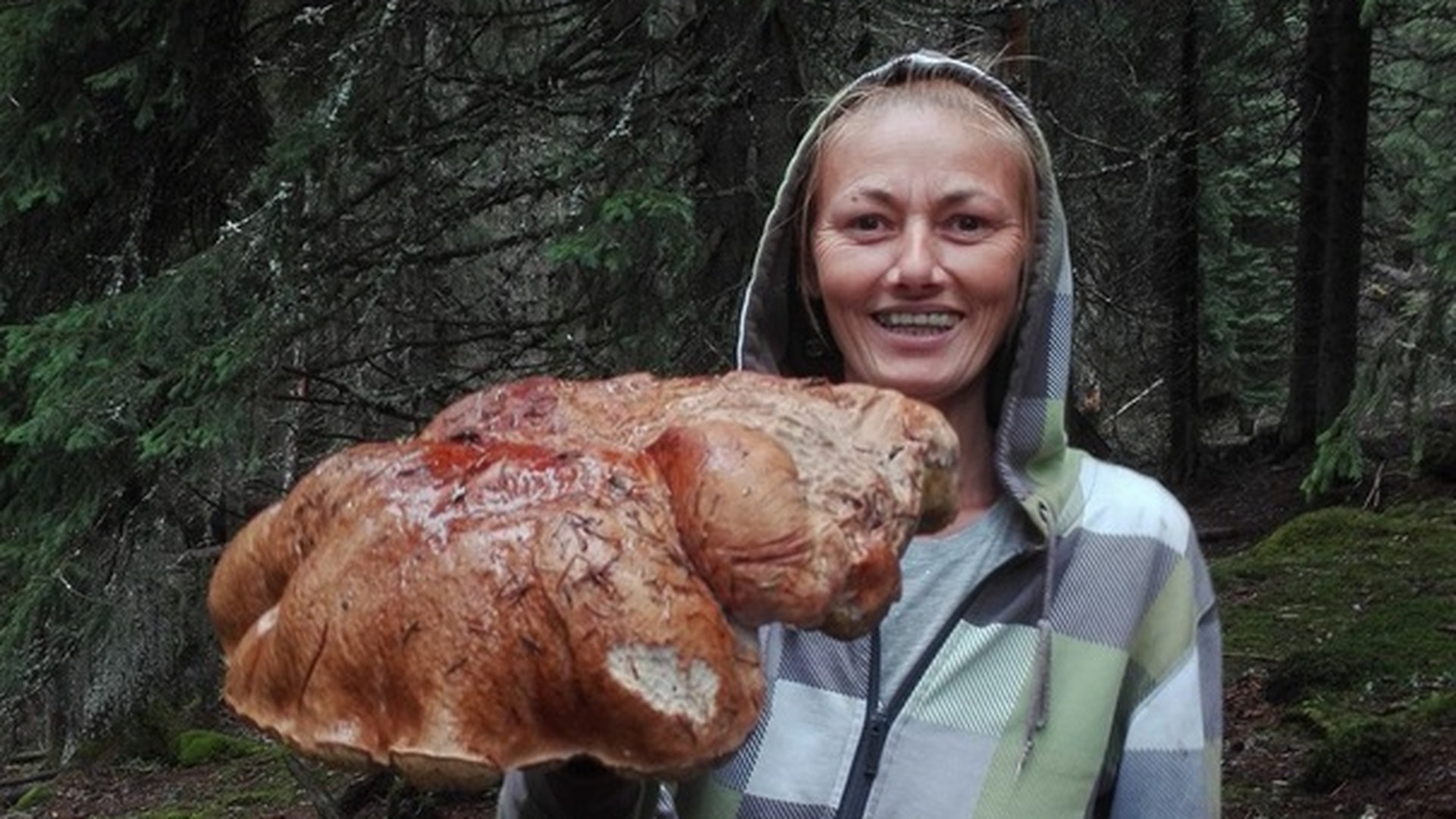 Ciupercă gigantică de cinci kilograme, găsită în Munţii Parâng