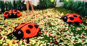 Galerie foto - poza 4