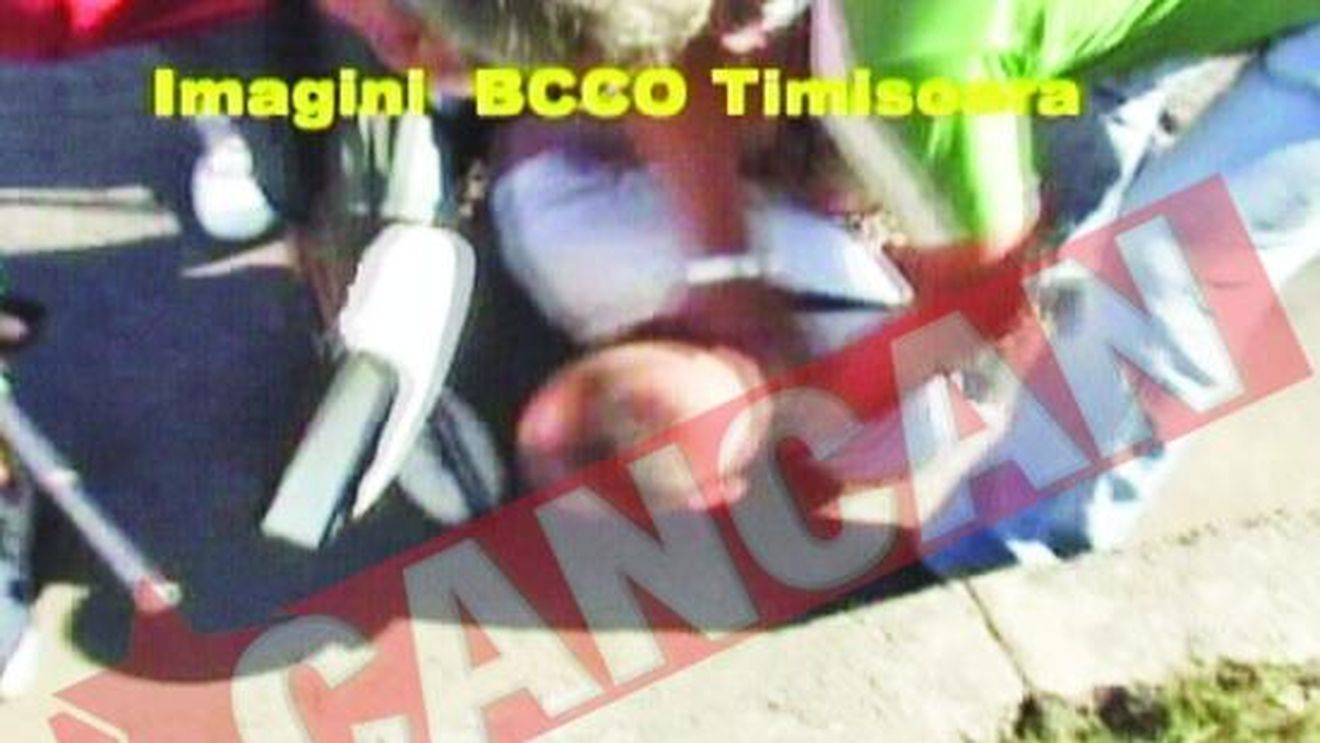 Interlop craiovean, prins cu 260 grame de hasis