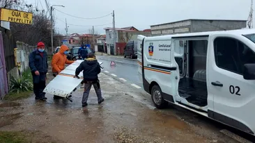 Mașina hingherilor, distrusă de o iubitoare de animale, în Slatina