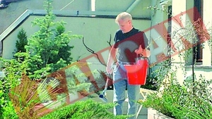 Gradina si cinema pe terasa blocului