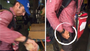 Mihai Găinușă este... găinar! Concurentul Asia Express a fost prins furând în Thailanda
