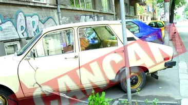 Videanu vede 41 milioane de metri patrati de spatii verzi in Bucuresti