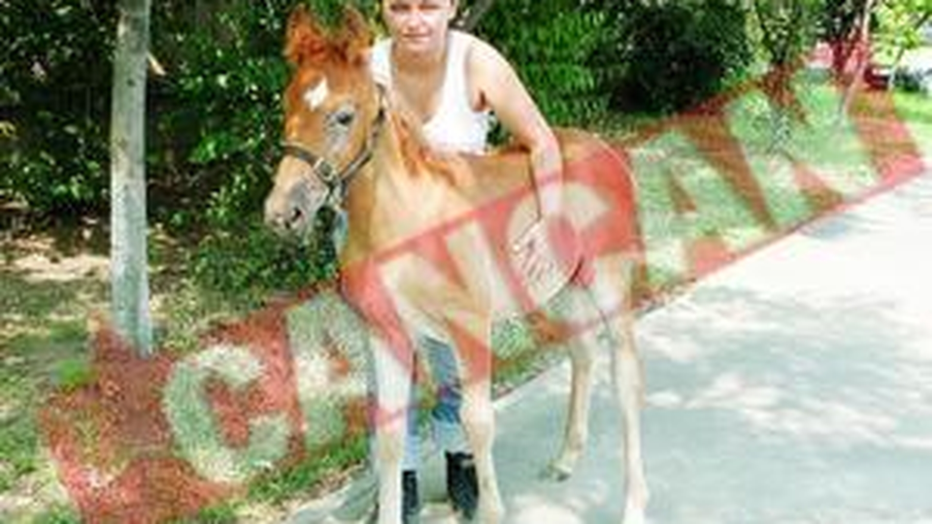 Roxana de la Spin a adoptat un calut