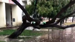 De necrezut unde și-a parcat trotineta electrică un tânăr din Iași! Imaginile au devenit virale în toată România