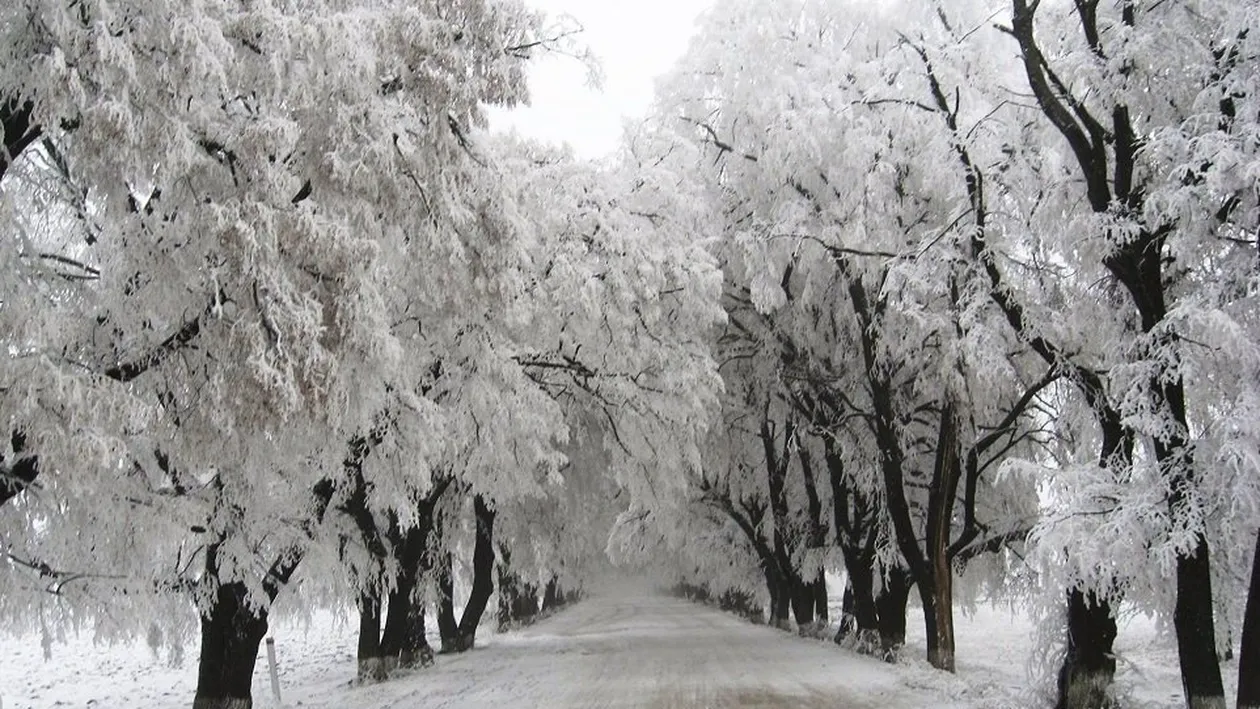Se îngroaşă gluma! ANM a emis avertizare pentru toată ţara! Zonele unde e cod portocaliu de ninsori şi viscol