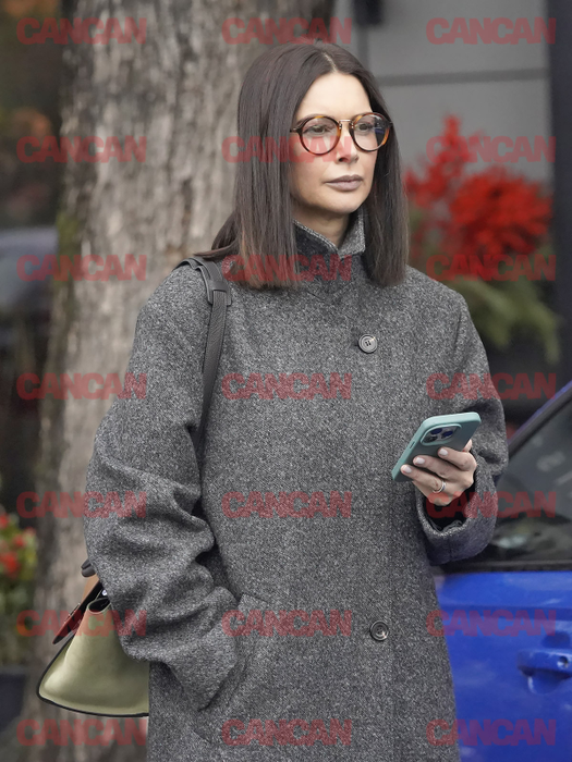 Andreea Berecleanu într-o ținută vintage