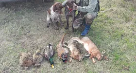 Galerie foto - poza 1