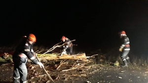 Vijeliile au făcut ravagii în Teleorman. Copaci căzuți peste mașini și peste firele de electricitate