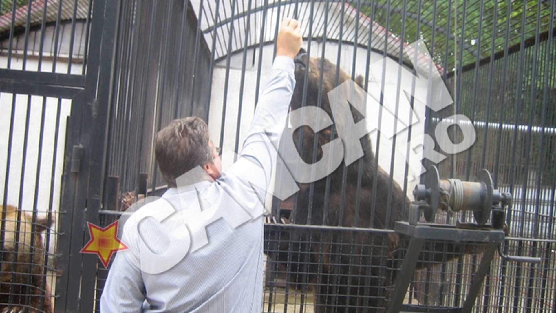 Animalele de la Zoo Onesti, "ferite" de ochii vizitatorilor de cinci ani