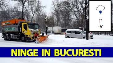 Meteorologii Accuweather au modificat prognoza. Zilele următoare vin ninsorile în București și în celelalte orașe din România