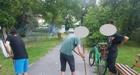 Galerie foto - poza 1