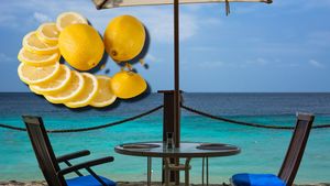 Suma ireală plătită de un turist pentru o felie de lămâie, într-un restaurant din Costinești: „Se întreabă lumea de ce pleacă în alte țări în sezonul estival”