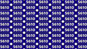 Iluzie optică | Doar cei cu ochi de vultur găsesc numărul diferit din seria de '5610'