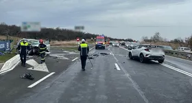 Galerie foto - poza 4