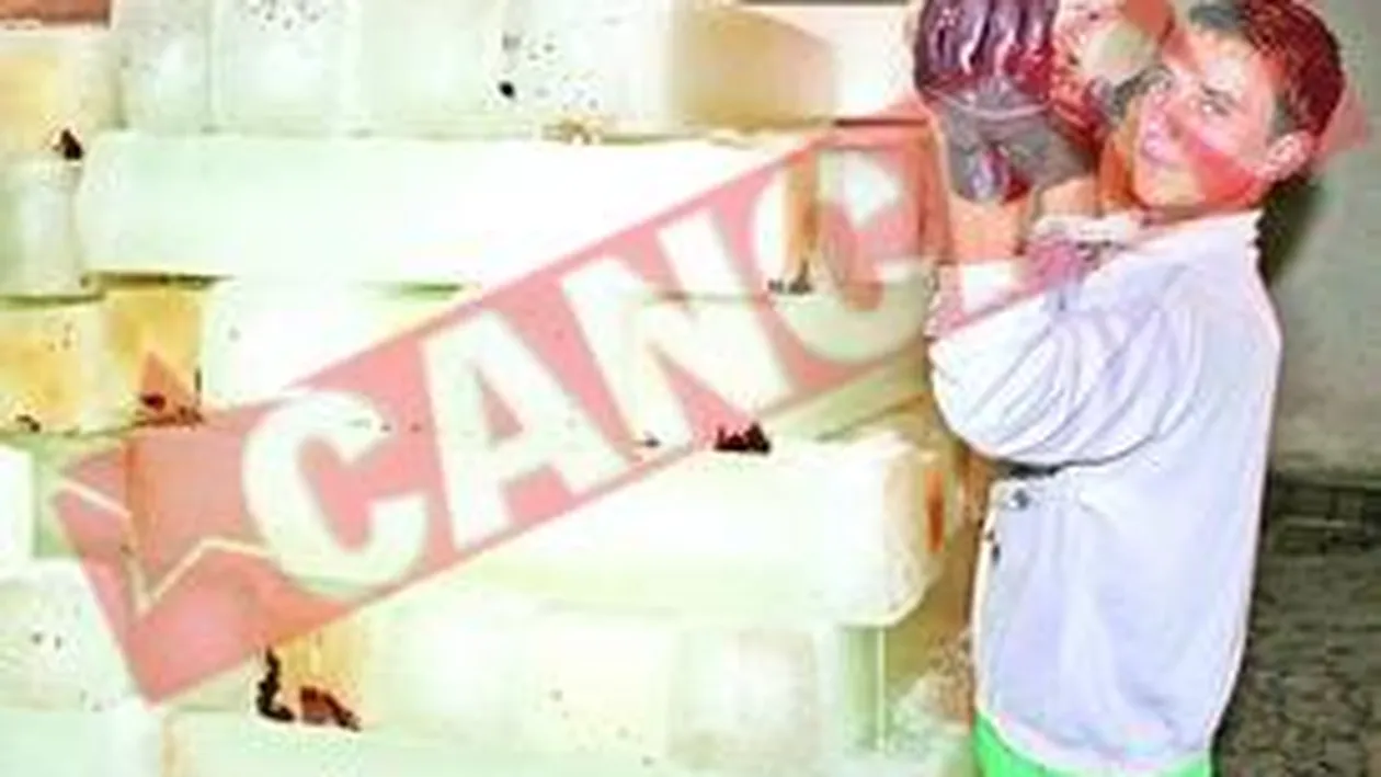 Pentru ei este iarna tot anul