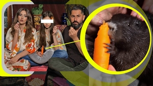 Iulia Albu continuă să șocheze: și-a luat nutrie! CANCAN.RO are imagini tari